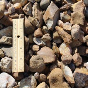 Septic Rock