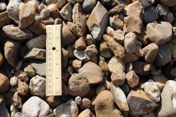 Septic Rock