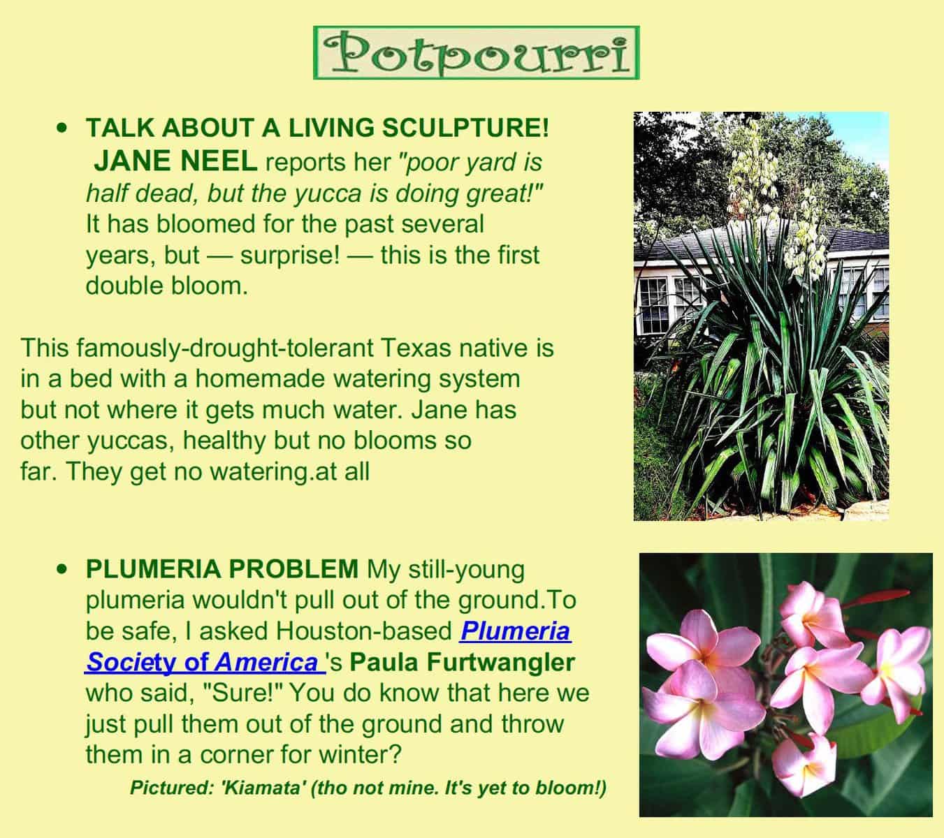 516 potpourri