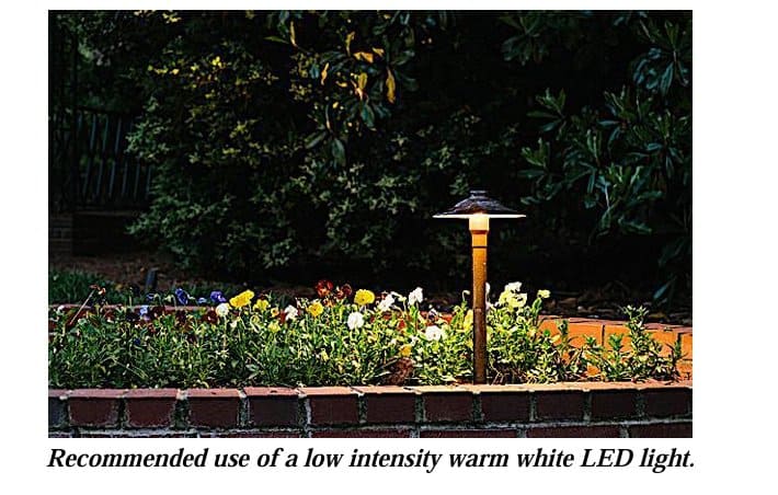 LED