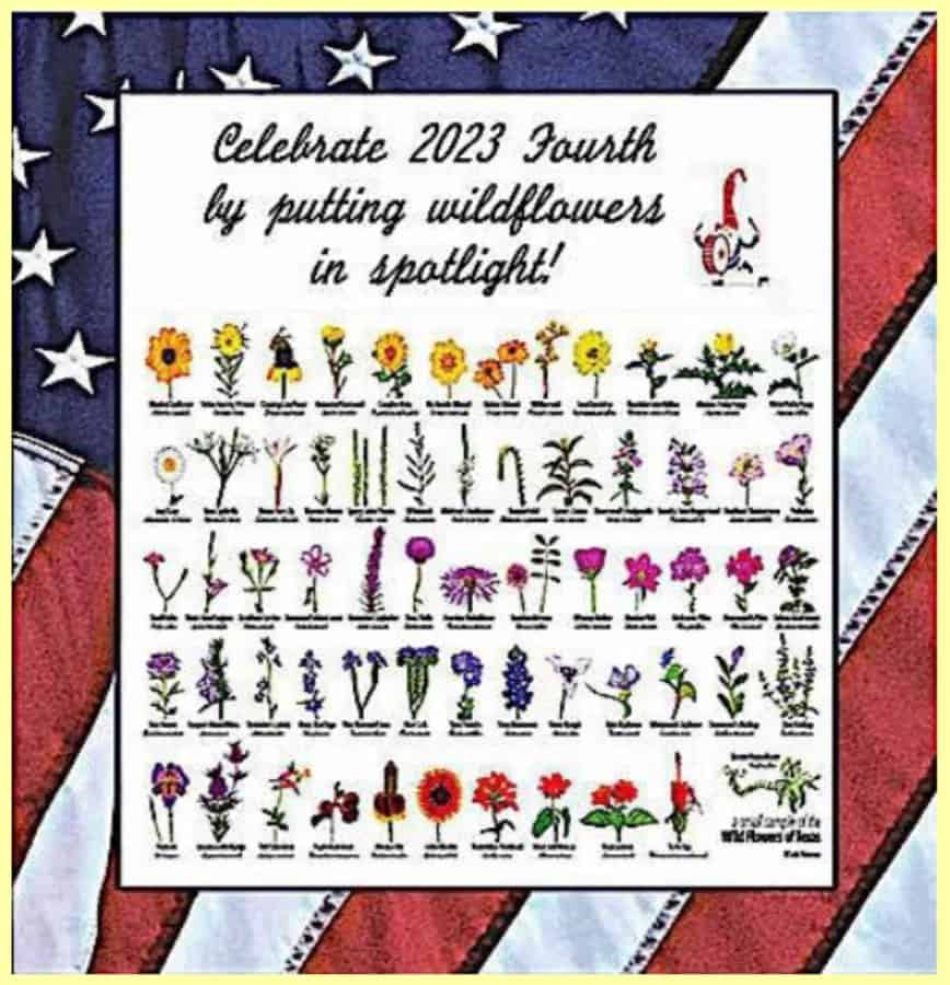 WILDFLOWERS