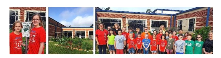 bear branch elementary