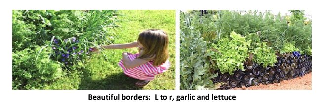 beautiful borders