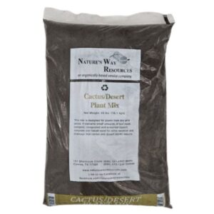 Cactus/Desert Mix