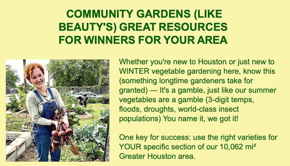 community garden 513