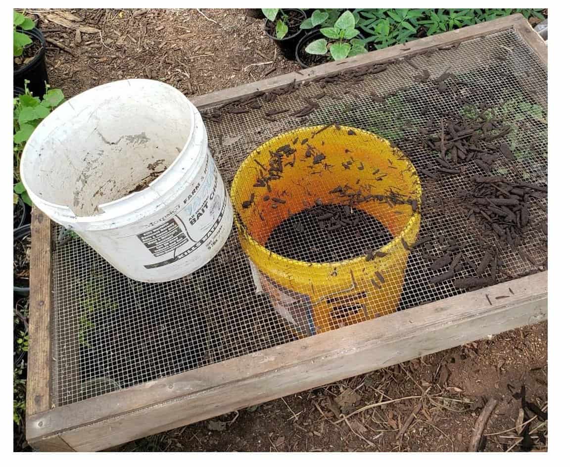 filled bucket
