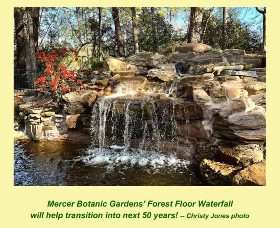 forest floor waterfall