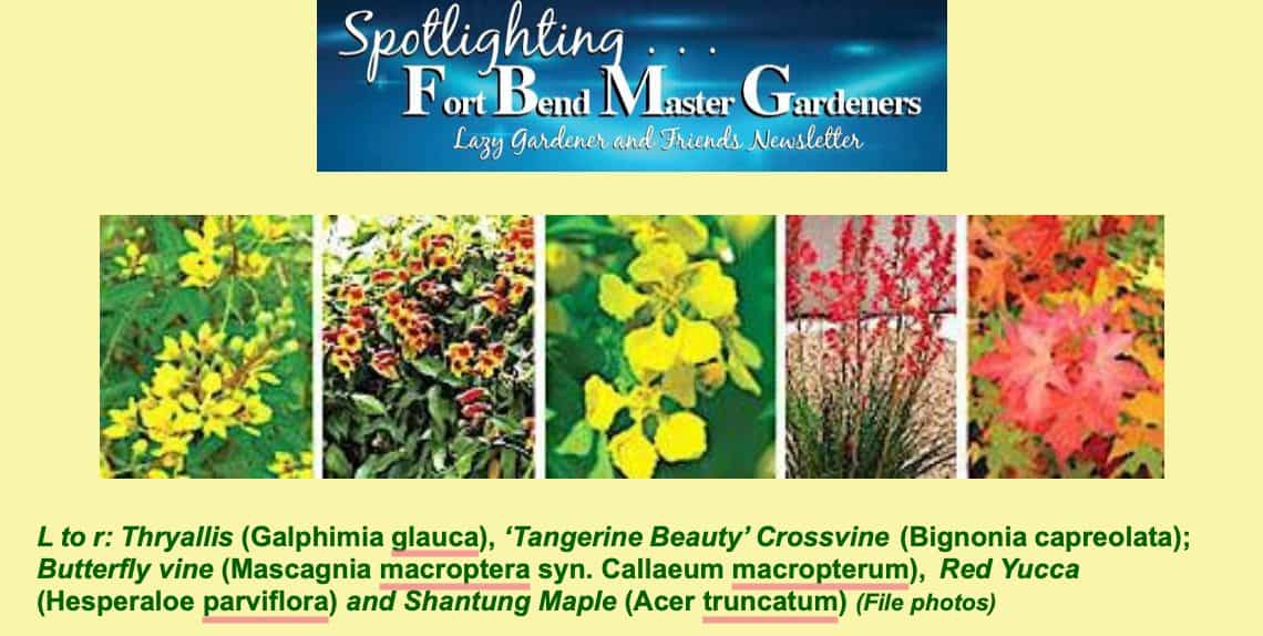 fort bend master gardeners