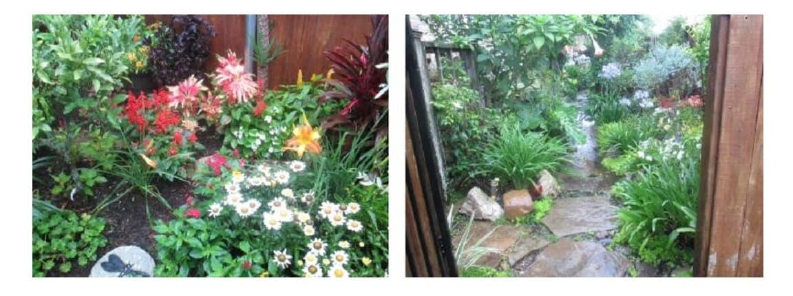 garden tour 2