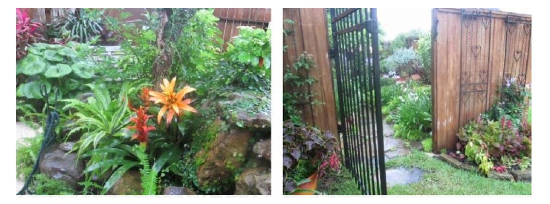 garden tour