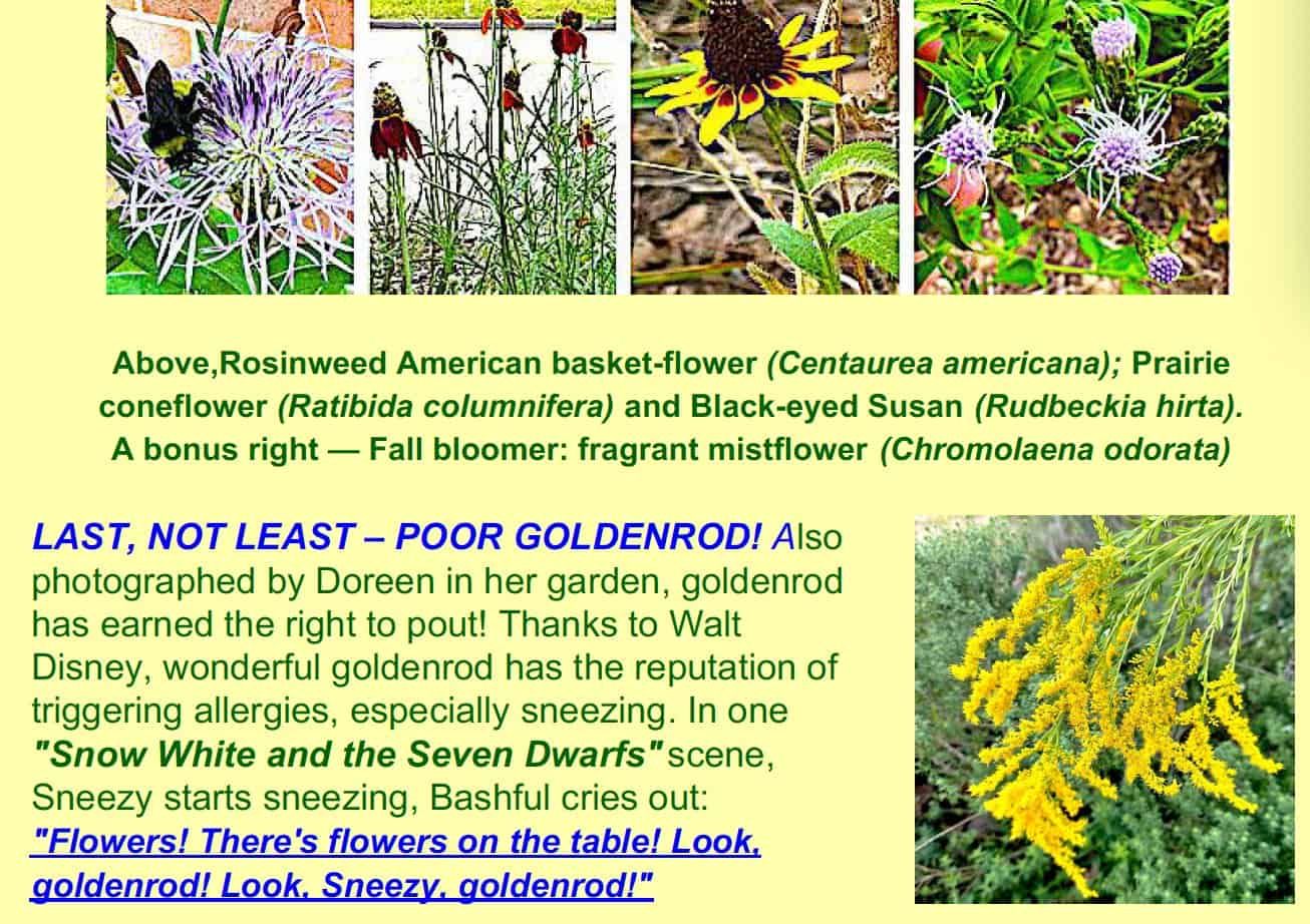 goldenrod