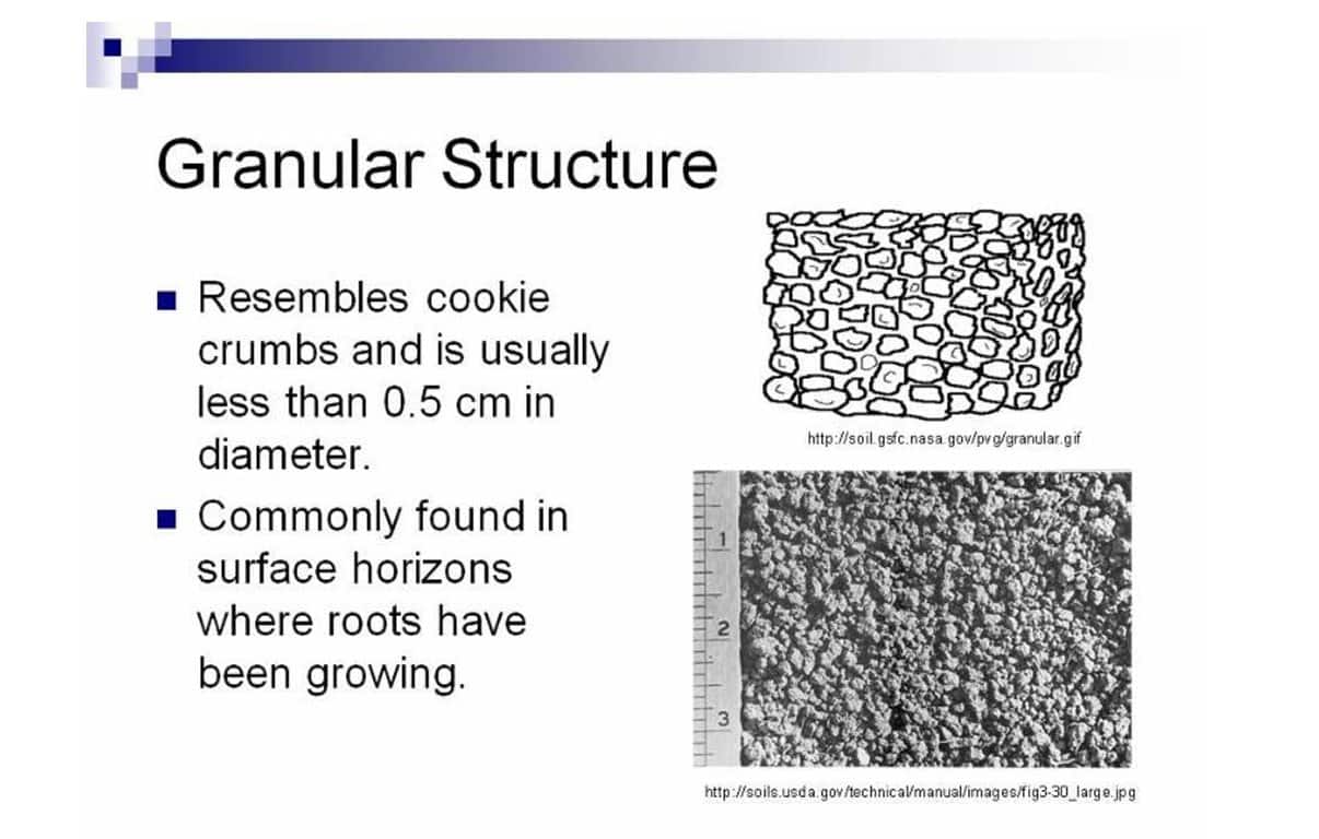 granular structure