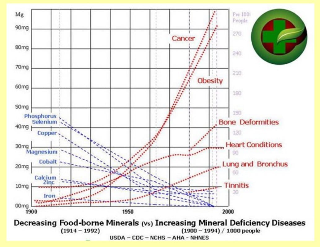 graph food born minerals