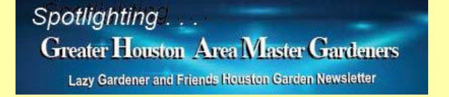 greater houston area mg