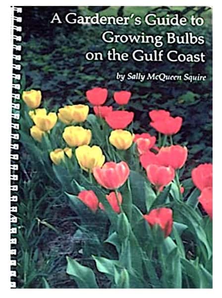growing bulbs of gulf coast