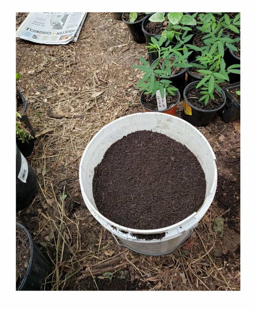 mulch bucet
