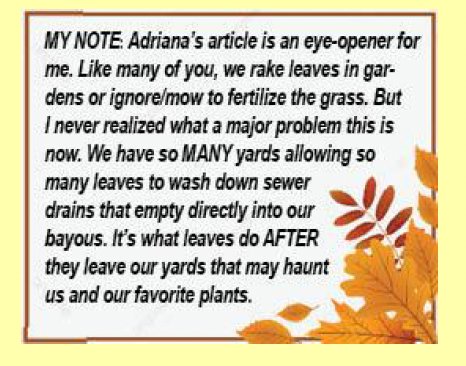 my note pic