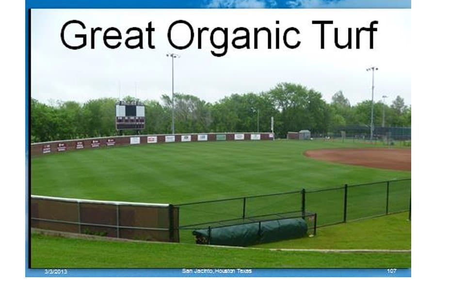 organic turf