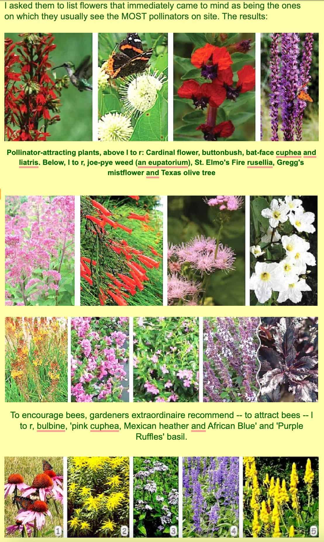 pollinators 2