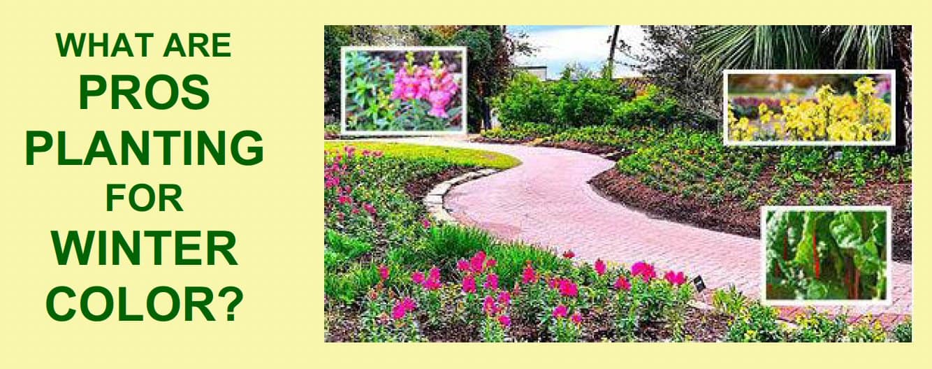 pros for planting