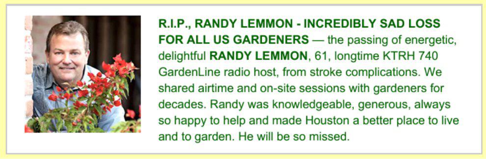 randy lemmon