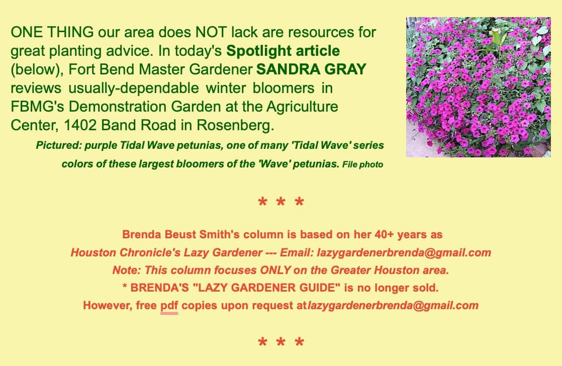 sandra gray