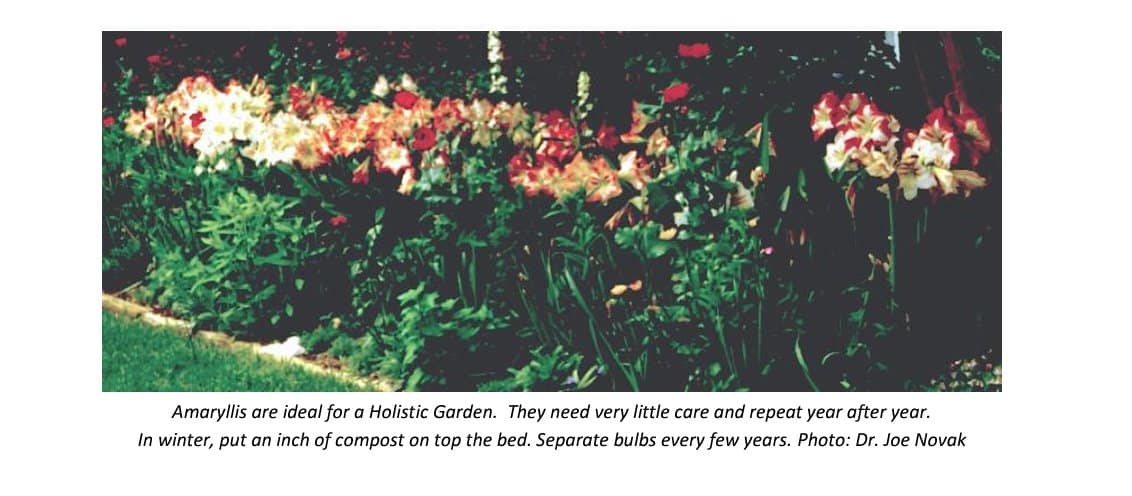 sociohorticulture
