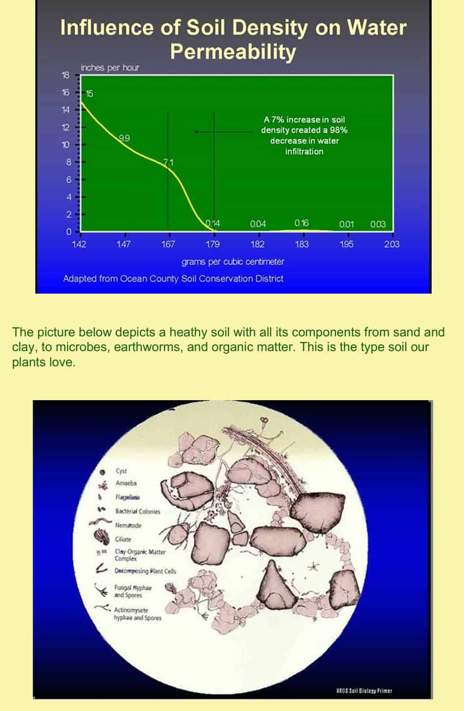 soil plant 269 - 7