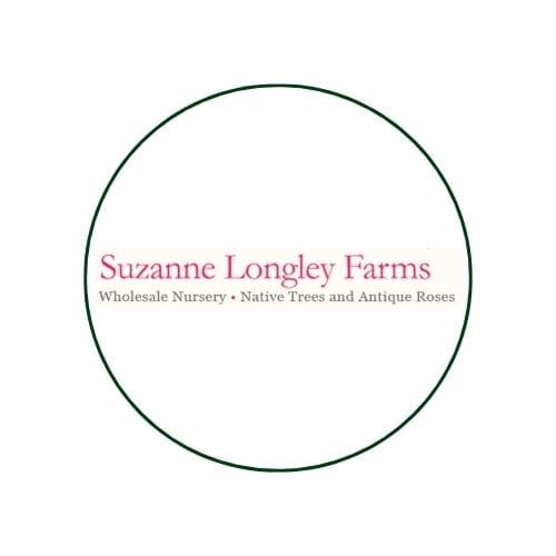 Suzanne Langly Landscapes