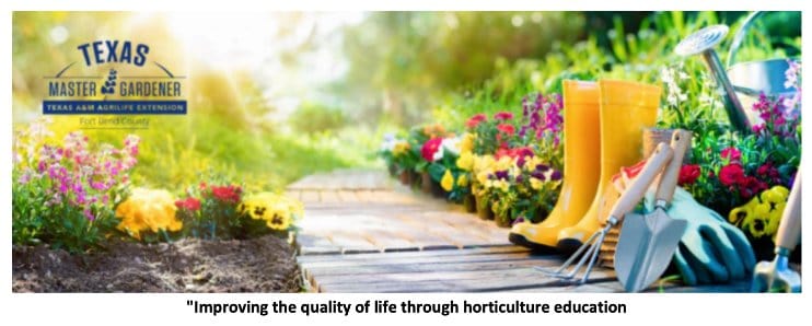 texas master gardeners