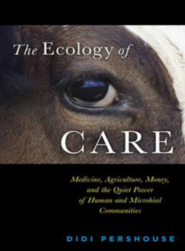 the ecology of care