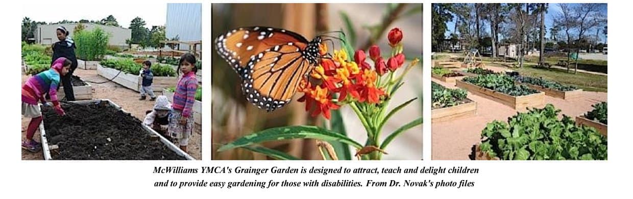 the holistic garden
