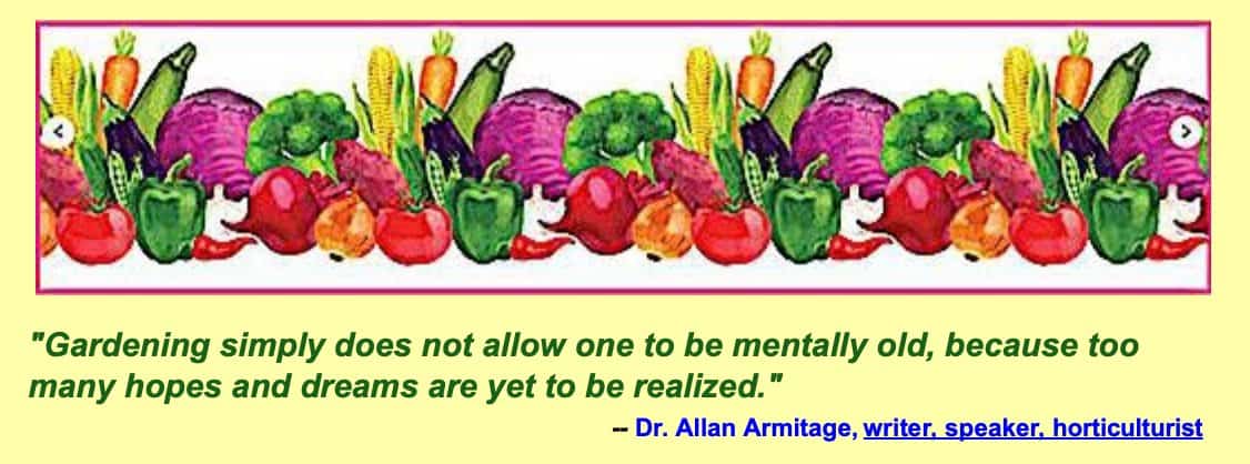 veggies