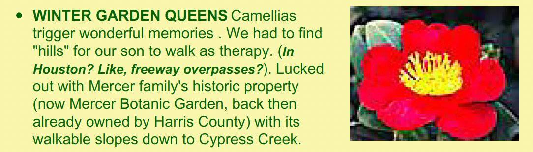 water garden queens