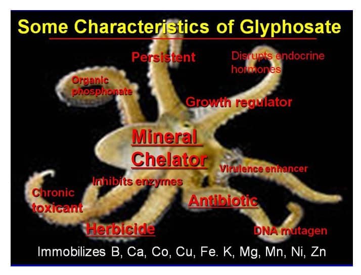 weeds herbicides 2