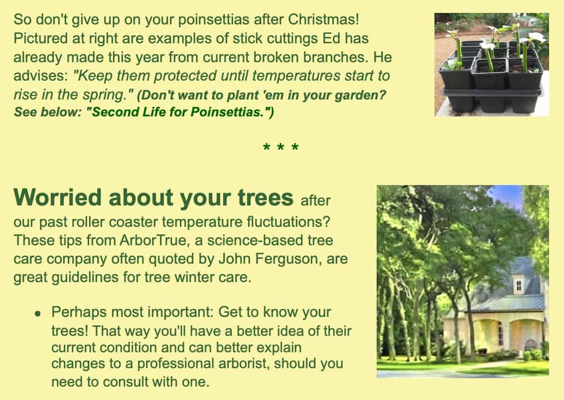 worried about trees