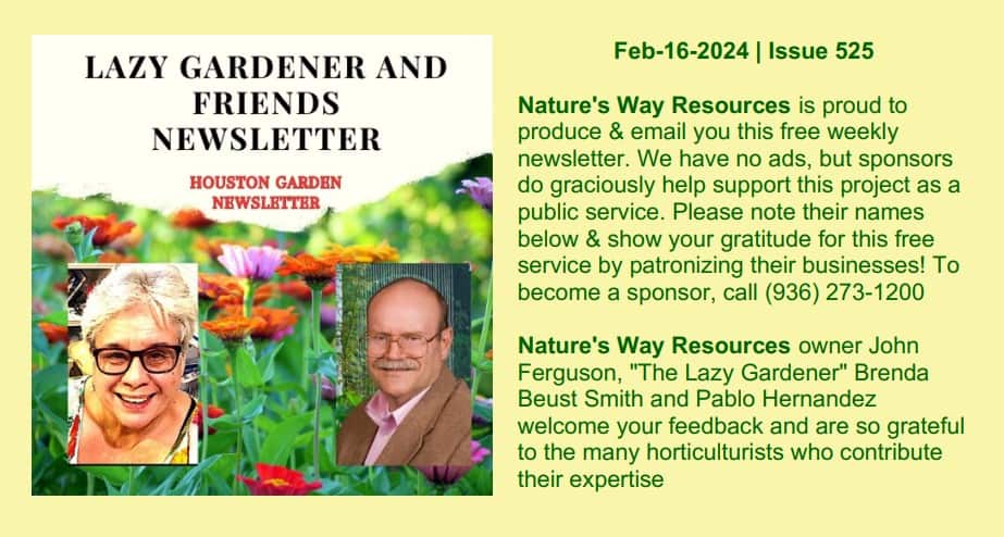 LG525-001 Lazy Gardener Issue 525