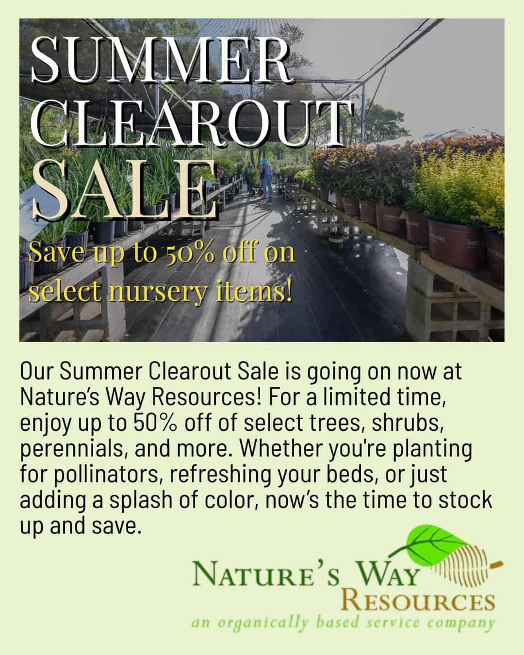 Summer Sale CI