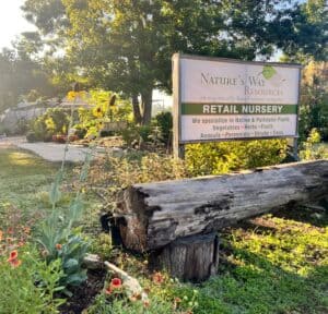 Retail nursery with plants and signage