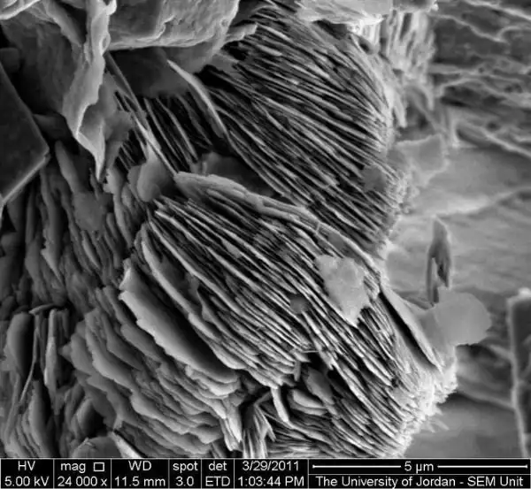 clay-soil-platlet-microscopic-image a microscopic image of a soil sample of a clay particle