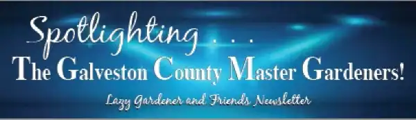galveston-master-gardeners spotlight banner for the galveston county master gardener