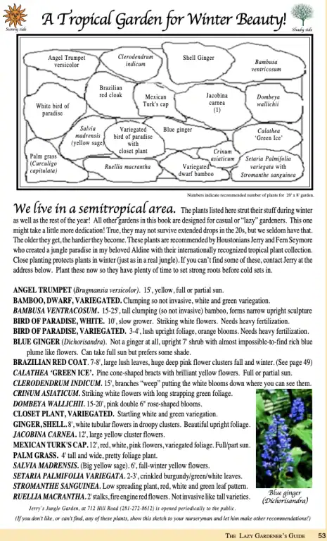 a-tropical-garden-for-winter-beauty plants to grow in houston that are tropical looking but winter hardy