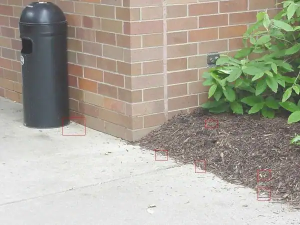 ash tray container right near flammable low quality mulch