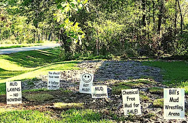 smile your on camera signs in a yard