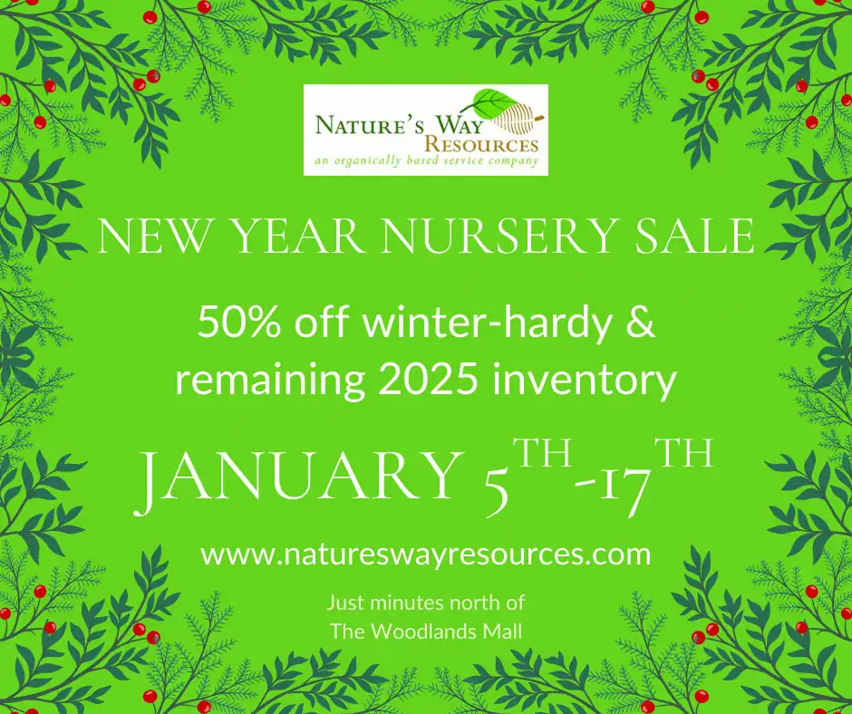 new year nursery reset sale 