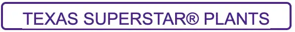 Texas Superstar Plants logo design