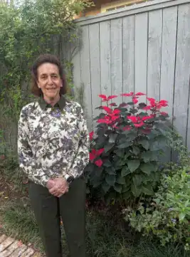 Woman standing beside red poinsettias.