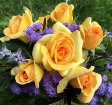 Yellow roses with purple asters bouquet