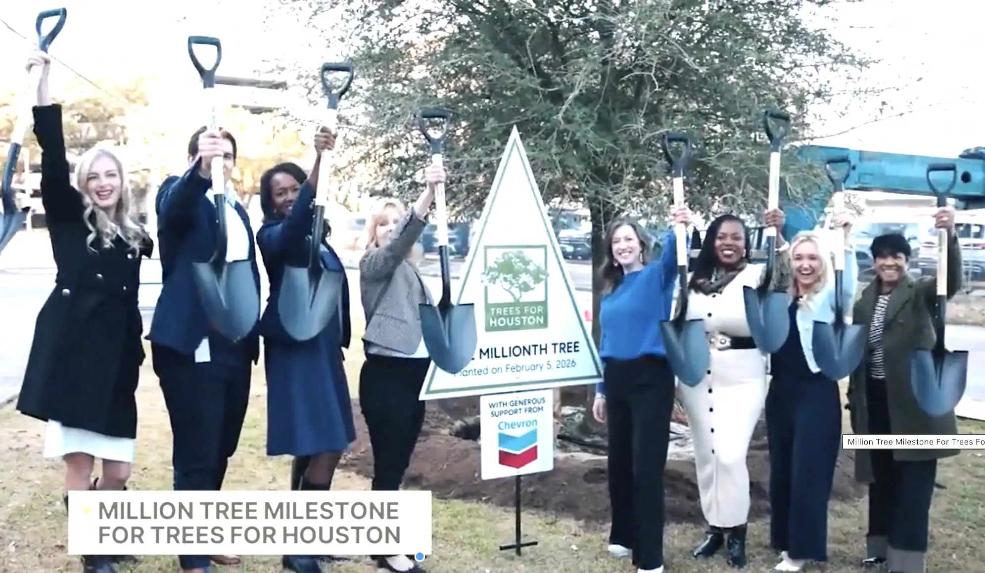 trees for houston planting staff