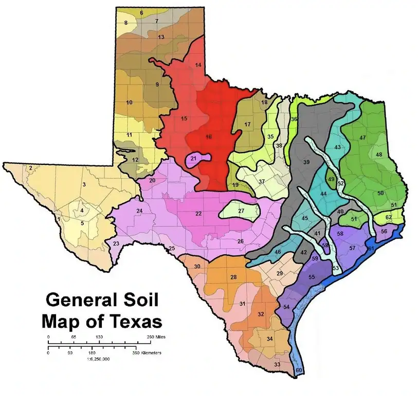 Color-coded soil map of Texas